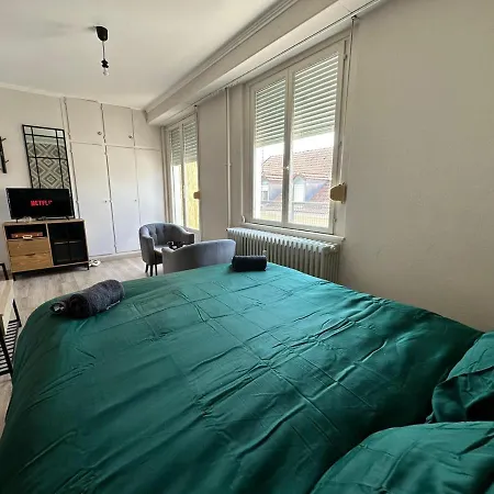Cosy Studio Mulhouse Buitenkant foto